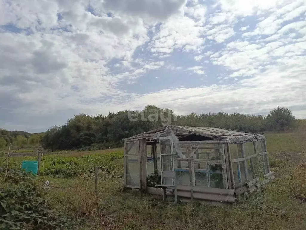 Дом в Белгородская область, Новооскольский муниципальный округ, с. ... - Фото 1