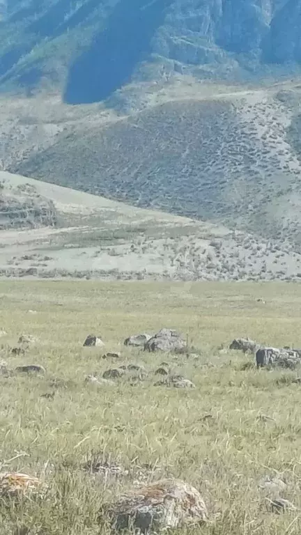 Участок в Алтай, Онгудайский район, с. Иня  (1320.0 сот.) - Фото 1