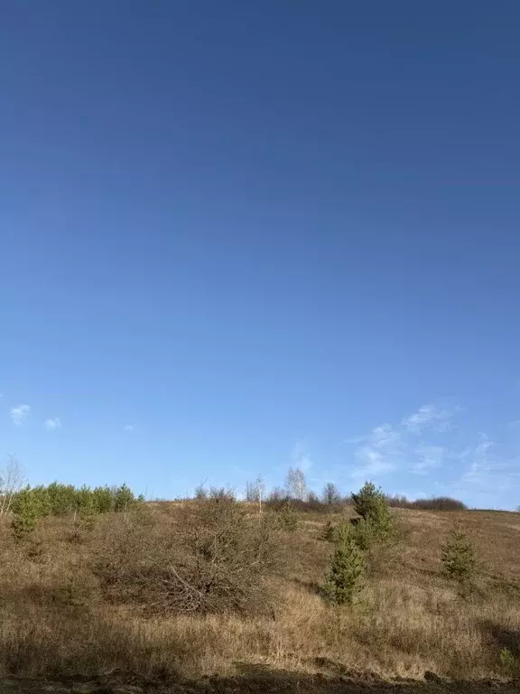 Участок в Белгородская область, Белгородский район, Дубовское с/пос, ... - Фото 1