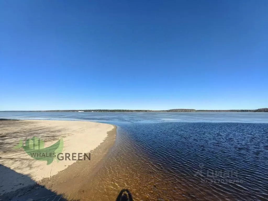Участок, 8.9 сот., сельхоз (снт или днп) - Фото 0