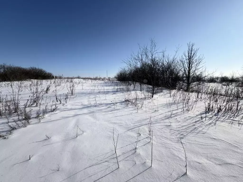 Участок в Белгородская область, Корочанский район, Погореловское ... - Фото 2