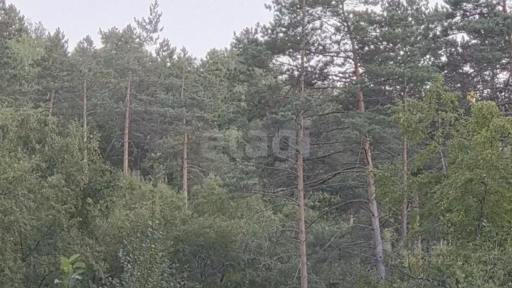 Участок в Амурская область, Благовещенский район, Тихая долина мкр  ... - Фото 0