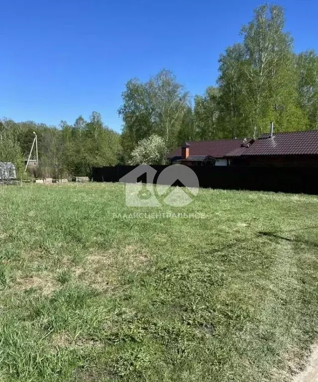 Участок в Новосибирская область, Новосибирский район, Барышевский ... - Фото 2