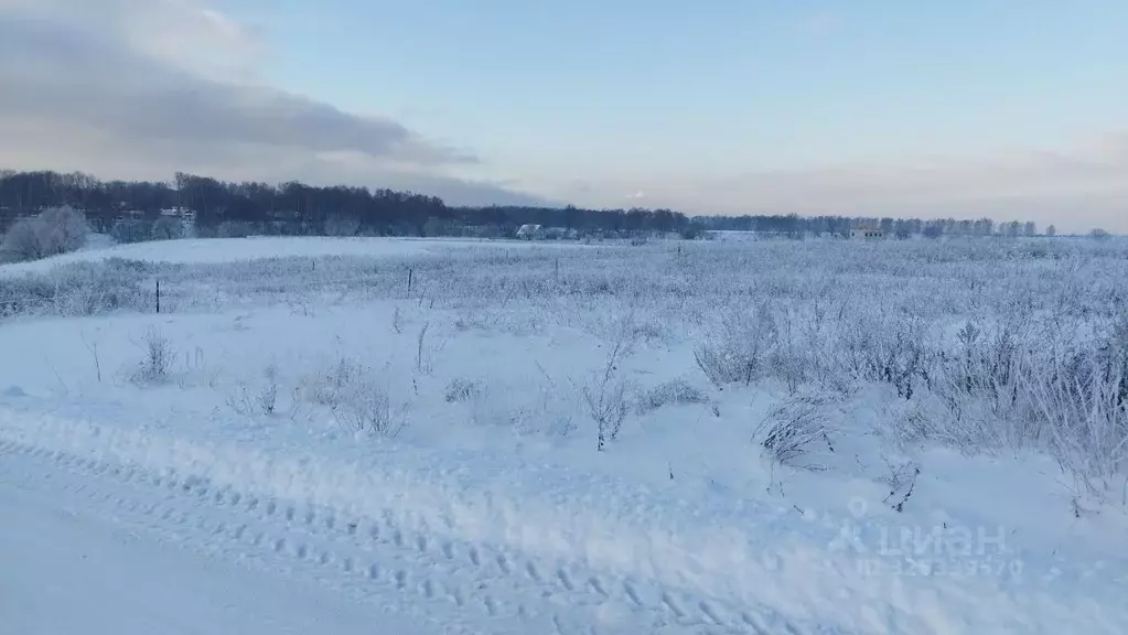 Участок в Московская область, Раменский муниципальный округ, с. ... - Фото 2