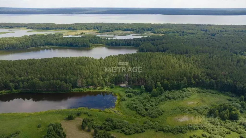 Участок в Новосибирская область, Ордынский район, Заимка-1 садовое ... - Фото 0