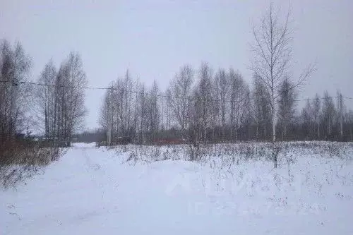 Участок в Новгородская область, Новгородский район, Бронницкое с/пос, ... - Фото 2