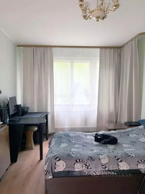 1-к кв. Санкт-Петербург ул. Руднева, 31/29 (32.7 м) - Фото 2
