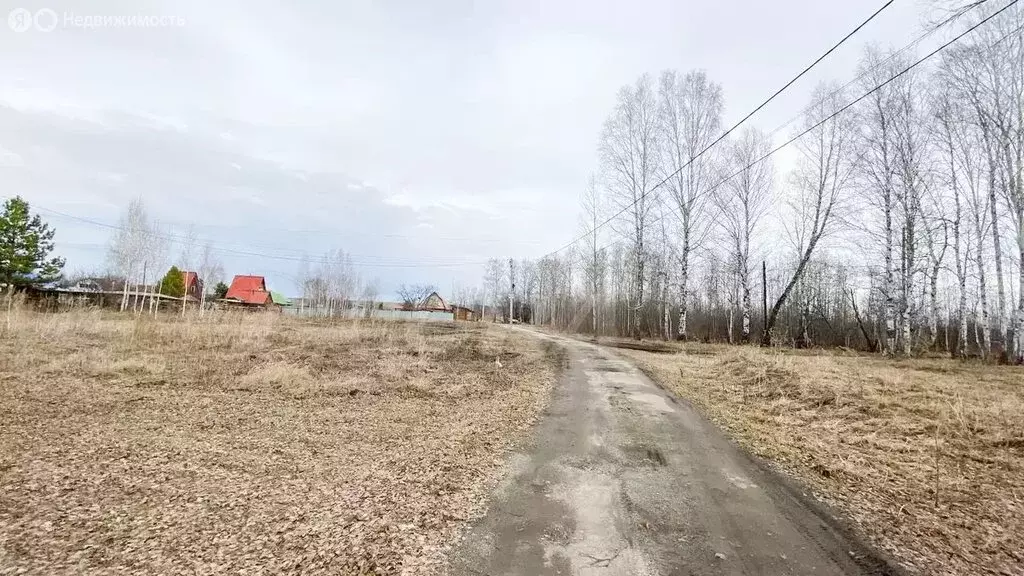 Участок в Тюменский район, деревня Коняшина (9 м) - Фото 1