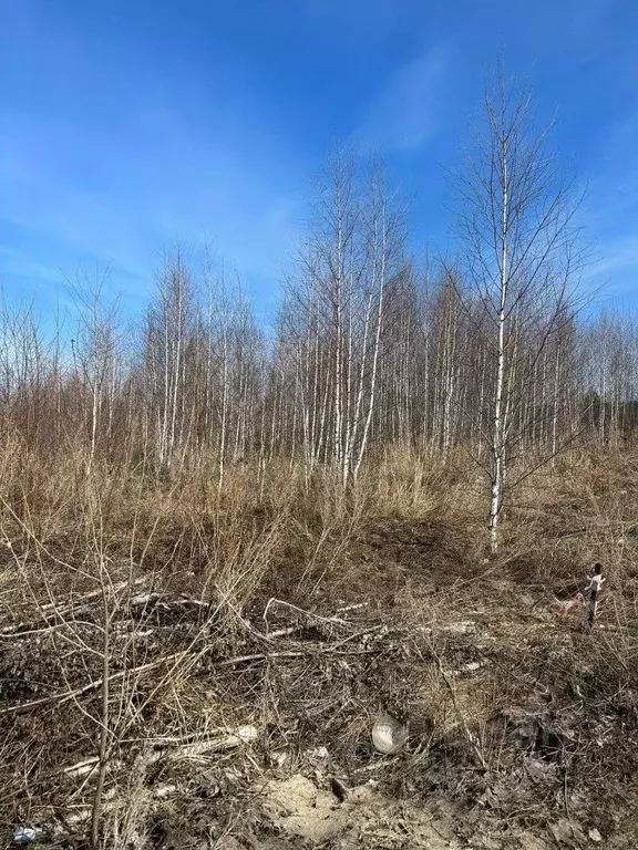 Участок в Свердловская область, Екатеринбург муниципальное ... - Фото 0