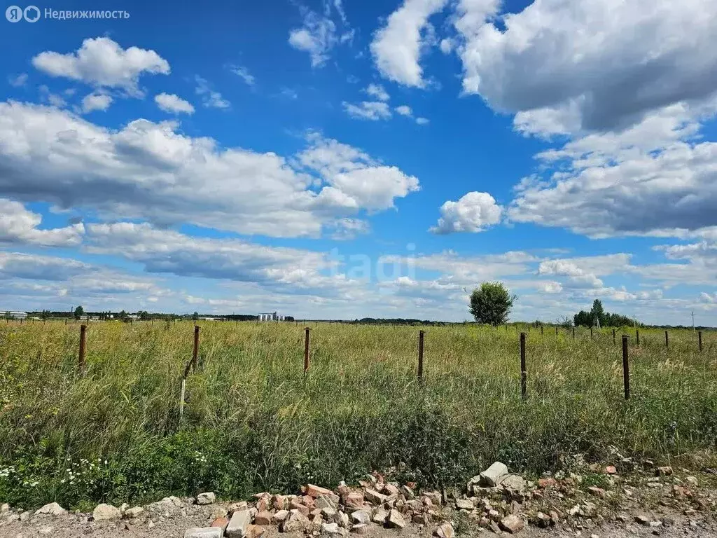 Участок в Тамбовская область, Знаменский муниципальный округ, село ... - Фото 0