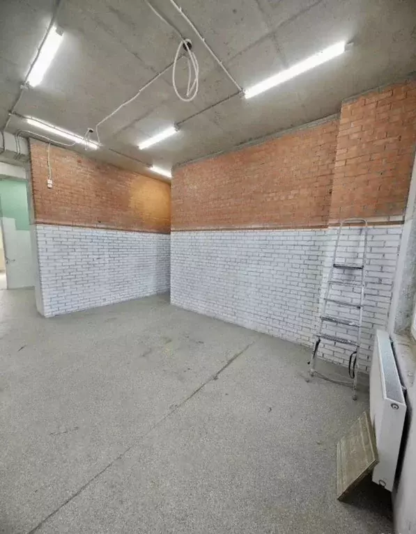 Помещение свободного назначения в Ленинградская область, Ломоносовский ... - Фото 2