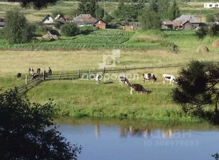 Участок в Свердловская область, Каменский городской округ, д. Шилова ... - Фото 1