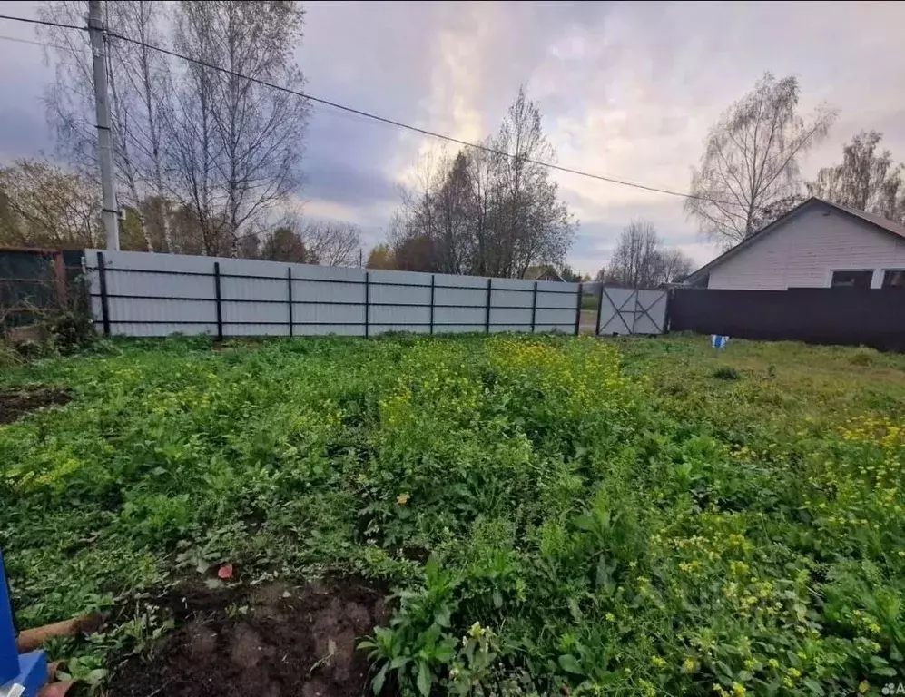 Участок в Московская область, Солнечногорск городской округ, Лесное ... - Фото 1
