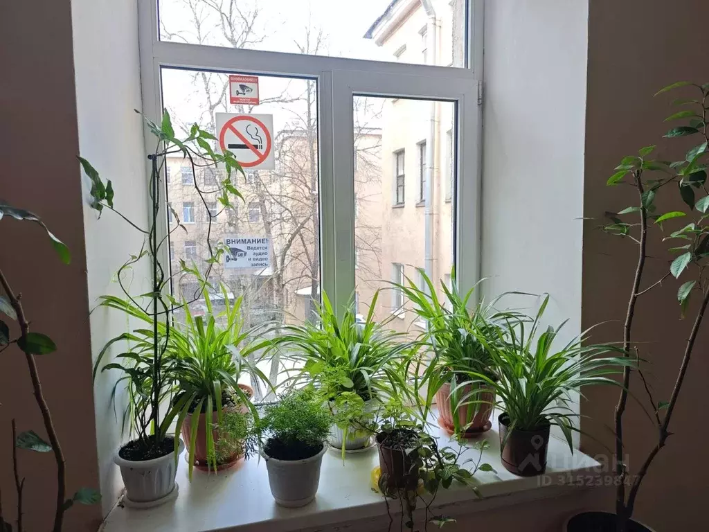 Комната Санкт-Петербург Гороховая ул., 31 (35.0 м) - Фото 0