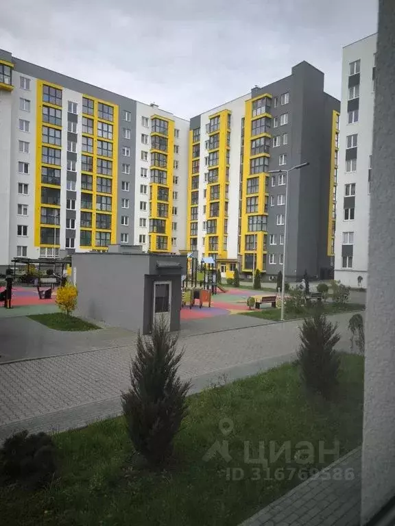 1-к кв. Калининградская область, Калининград Мирная ул., 1к4 (39.0 м) - Фото 1