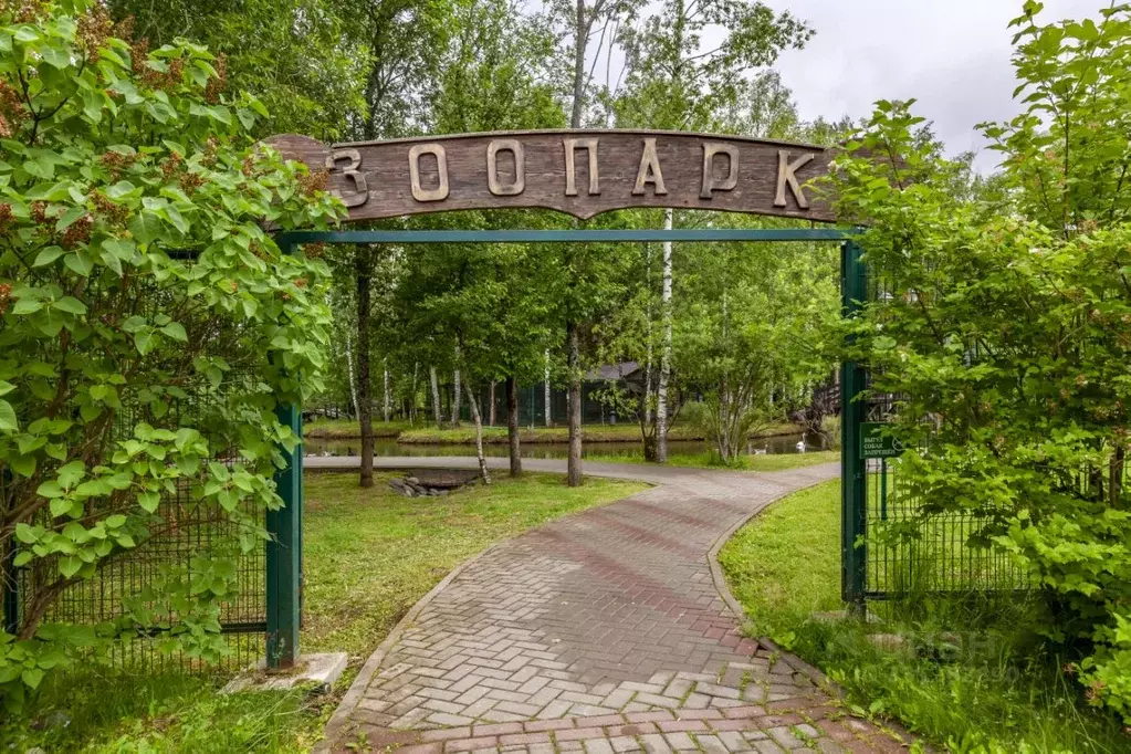 Участок в Московская область, Рузский муниципальный округ, Руза Фэмили ... - Фото 2