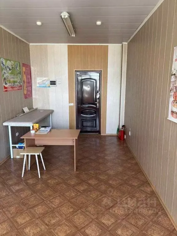 Офис в Новосибирская область, Бердск ул. Ленина, 23Б (17 м) - Фото 1