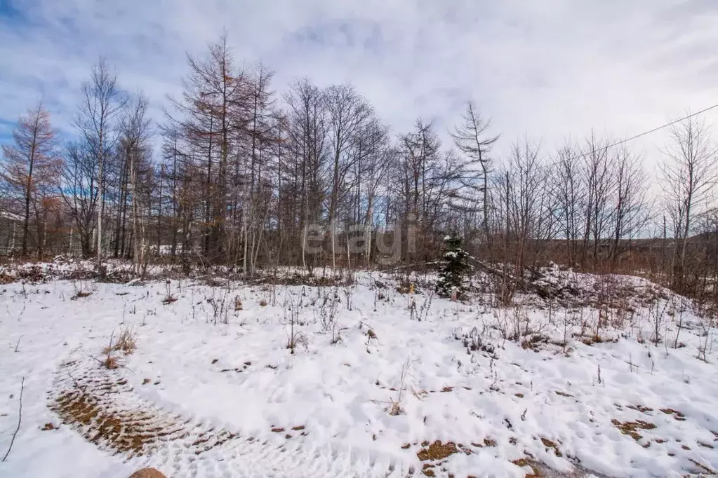 Участок в Сахалинская область, Южно-Сахалинск Эврика СНТ, 11 (11.6 ... - Фото 2