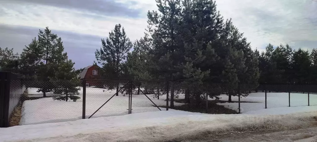 Участок в Владимирская область, Киржачский муниципальный округ, д. ... - Фото 2