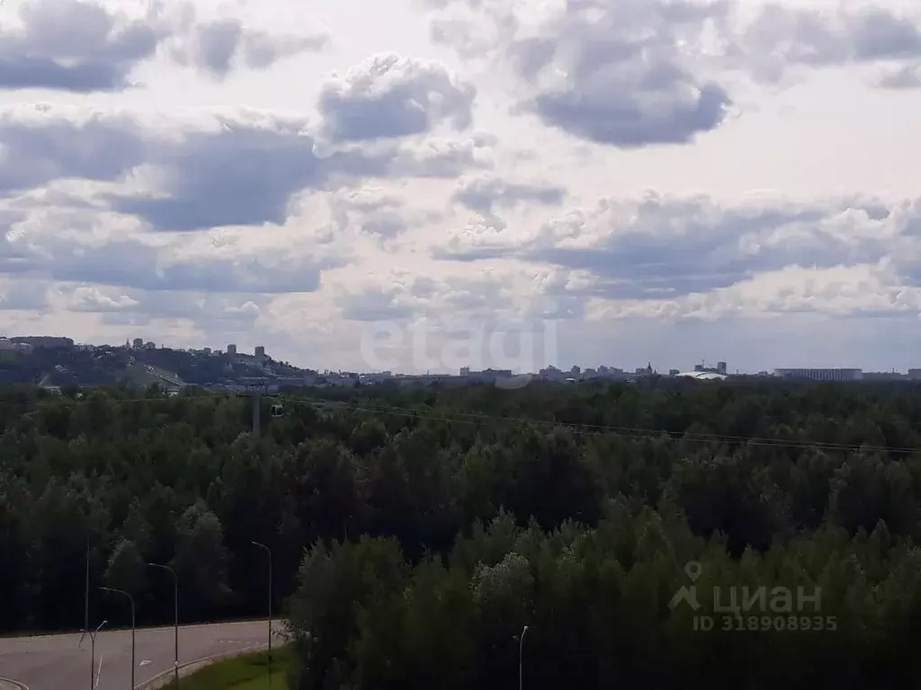 2-к кв. Нижегородская область, Бор ул. Луначарского, 216к2 (58.0 м) - Фото 0