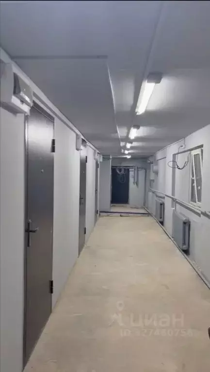 Помещение свободного назначения в Новосибирская область, Новосибирск ... - Фото 1