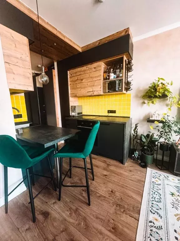 Студия Москва пос. Коммунарка, ул. Бачуринская, 11 (25.0 м) - Фото 2