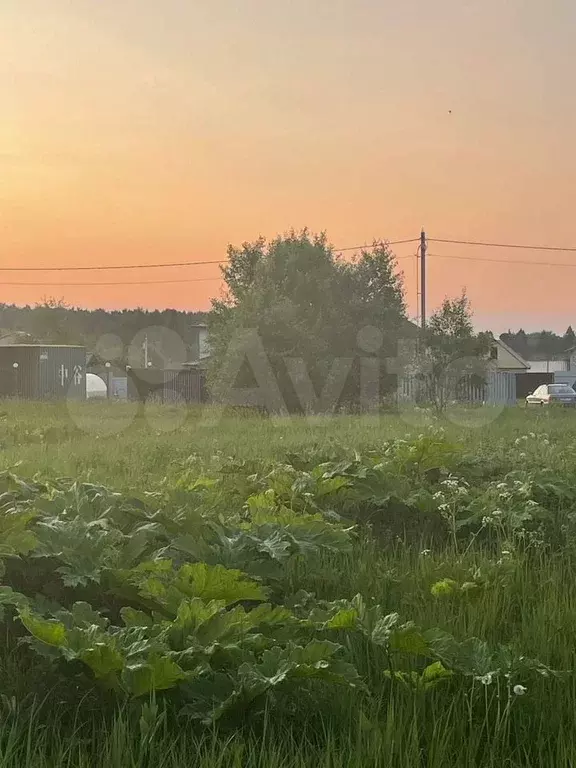 Участок 12 сот. (ИЖС) - Фото 1