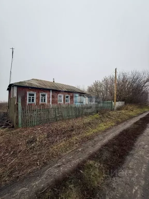 Участок в Воронежская область, Хохольский район, с. Кочетовка ... - Фото 1