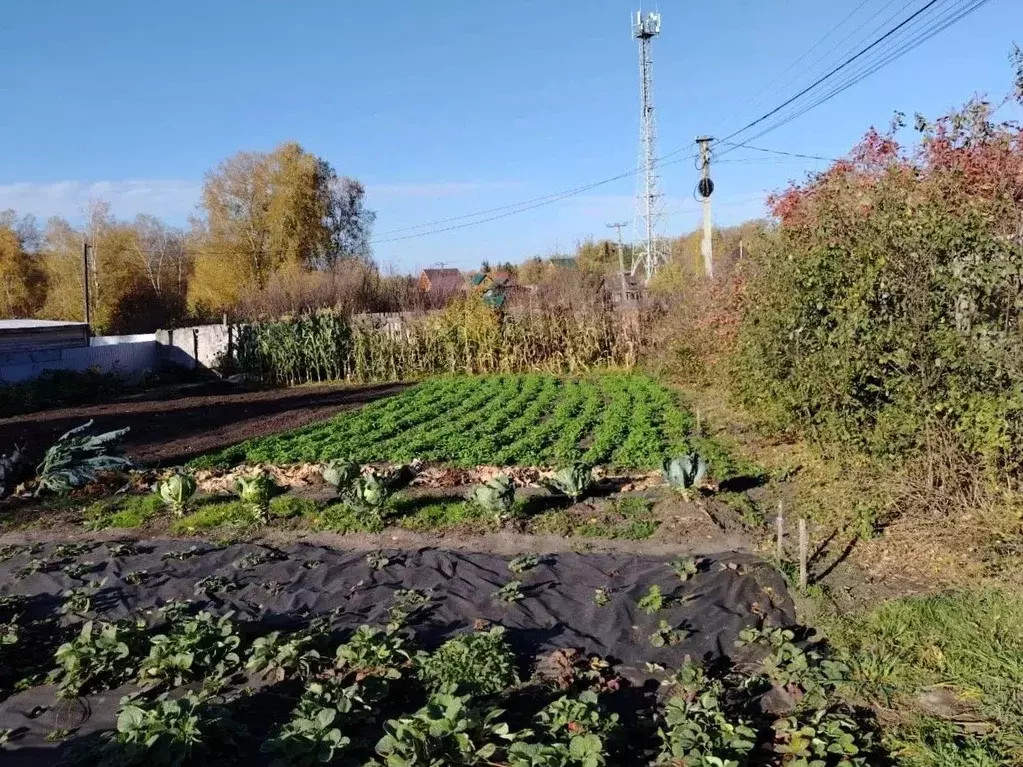 Участок в Новосибирская область, Новосибирский район, Барышевский ... - Фото 1