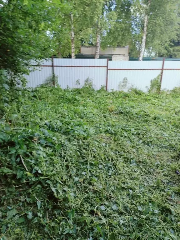 Участок в Московская область, Пушкинский городской округ, ... - Фото 1
