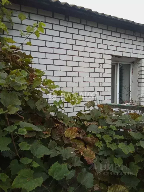 Дом в Брянская область, Брянск ул. Въезд Мичурина, 13 (67 м) - Фото 2