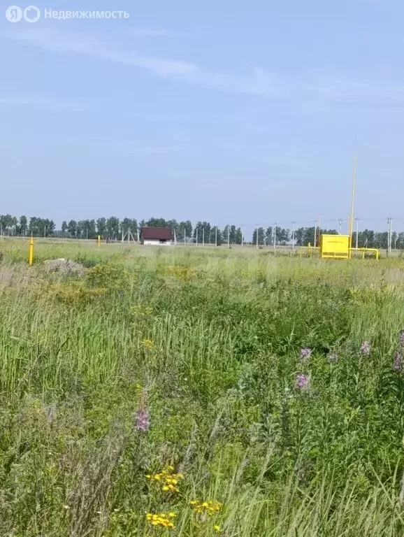 Участок в деревня Малиновка 1-я, Петровская улица (10 м) - Фото 0
