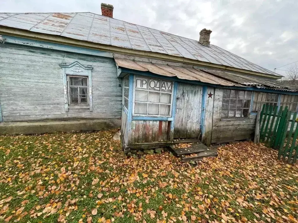 Дом в Пензенская область, Белинский район, с. Лермонтово ул. Бугор, 7 ... - Фото 2