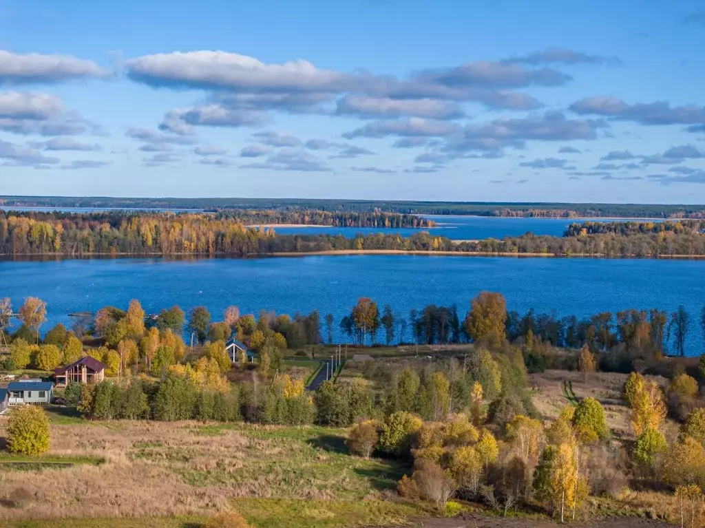 Участок в Ленинградская область, Приозерский район, Громовское с/пос, ... - Фото 0