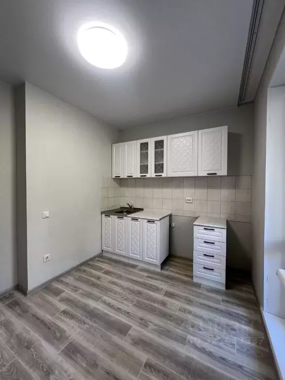 1-к кв. Новосибирская область, Новосибирск Красный просп., 327/1 ... - Фото 2