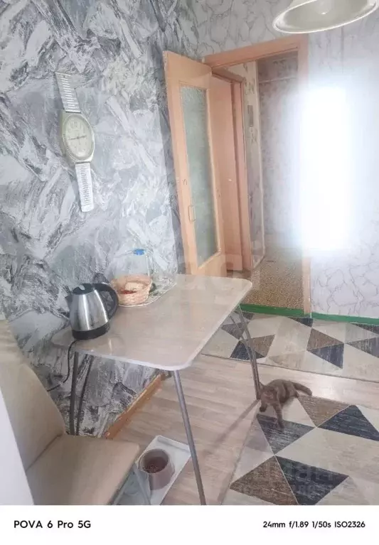 2-к кв. Вологодская область, Шекснинский район, д. Нифантово Фабричная ... - Фото 1