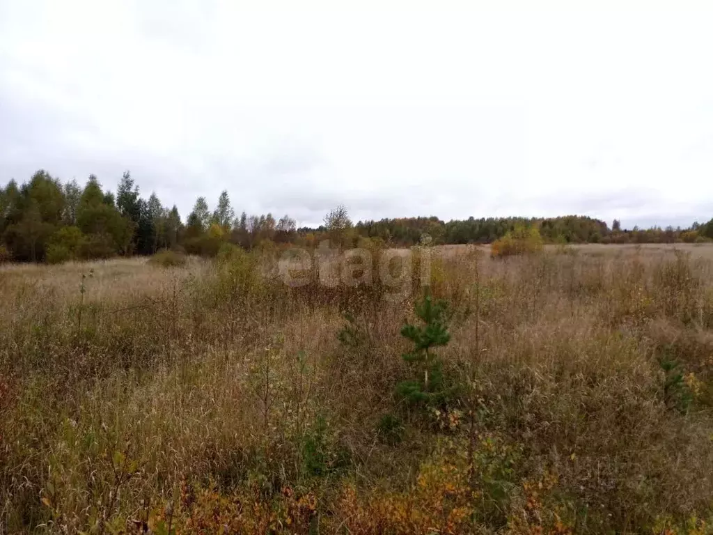 Участок в Вологодская область, Грязовецкий муниципальный округ, ... - Фото 2