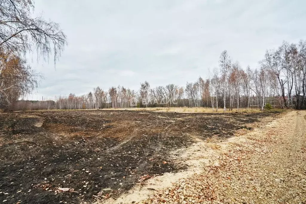 Участок в Воронежская область, Воронеж ул. Икорецкая (4.5 сот.) - Фото 1