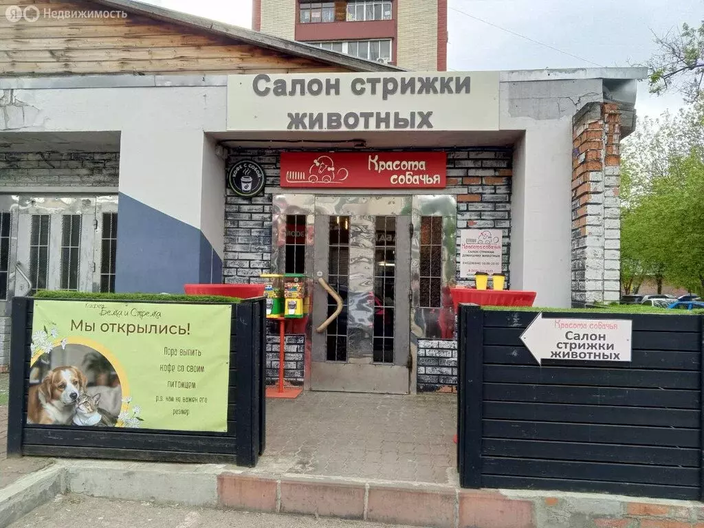 Помещение свободного назначения (20 м) - Фото 1