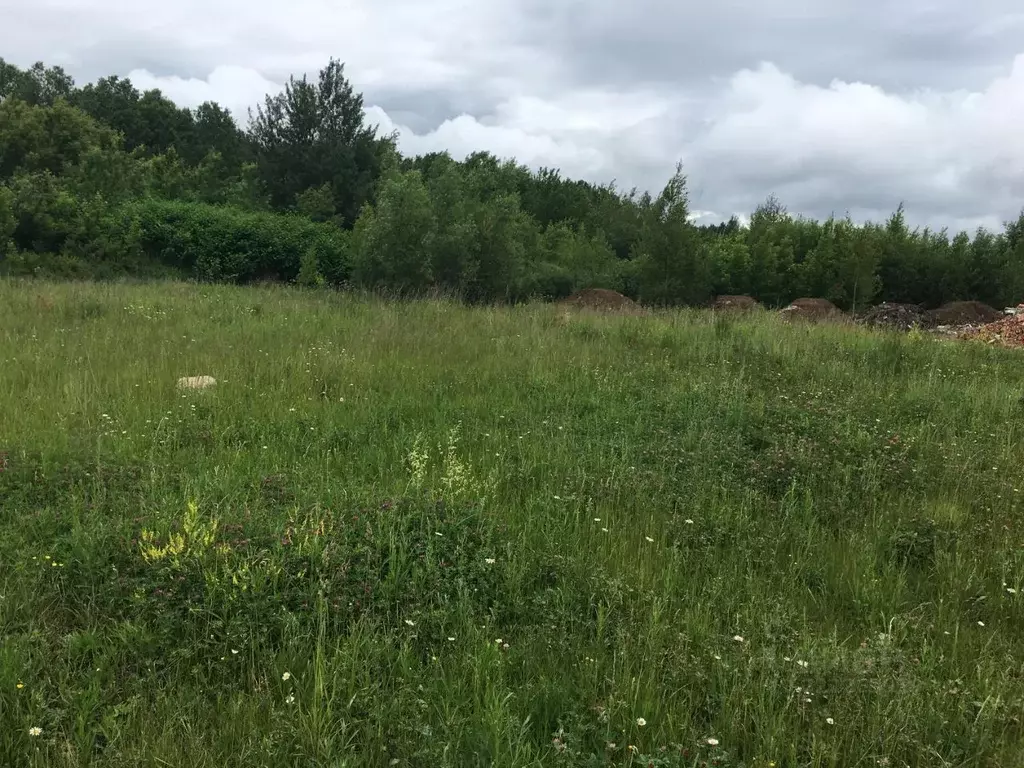 Участок в Московская область, Пушкинский городской округ, Софрино пгт  ... - Фото 1