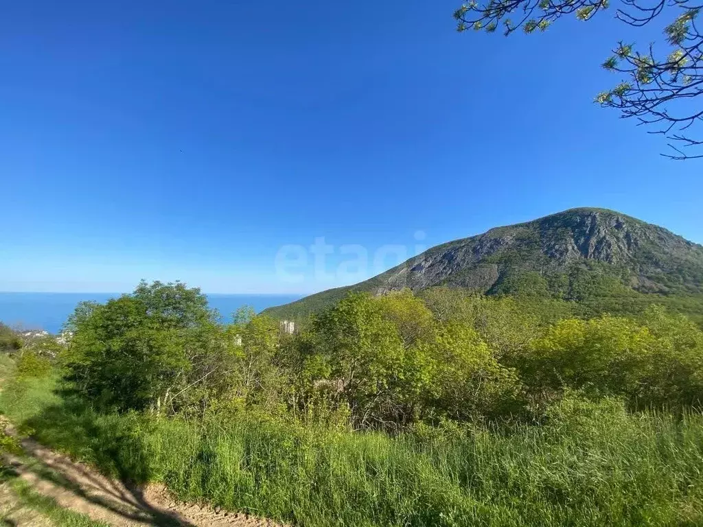 Участок в Крым, Алушта муниципальный округ, с. Лавровое ул. ... - Фото 0