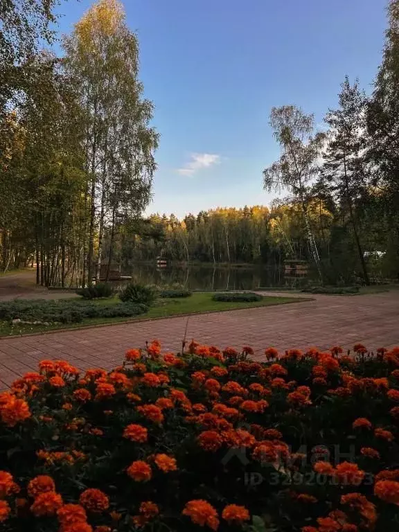 Комната Московская область, Богородский городской округ, пос. Рыбхоз ... - Фото 2