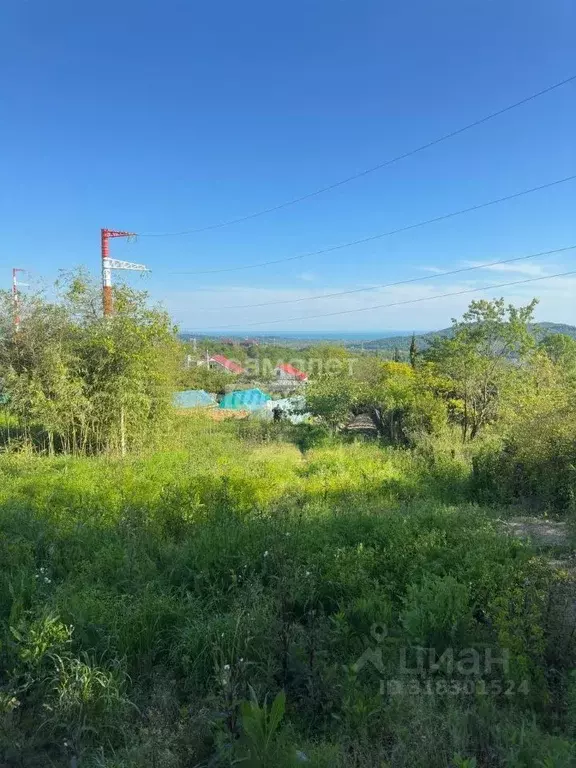 Участок в Краснодарский край, Сочи городской округ, с. Черешня ул. ... - Фото 1