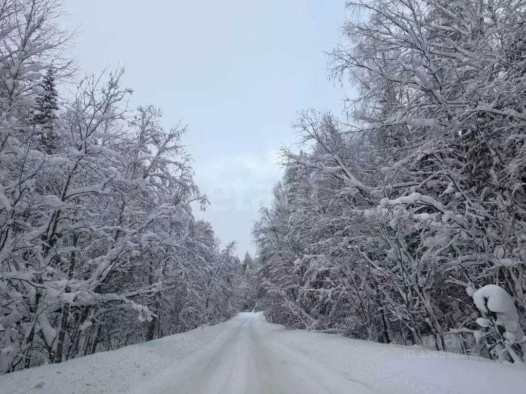 Участок в Коми, Сыктывдинский район, Выльгорт муниципальное ... - Фото 2