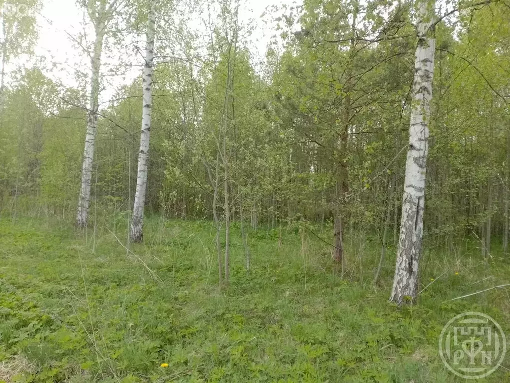 Участок в Заклинское сельское поселение, садоводческое некоммерческое ... - Фото 2
