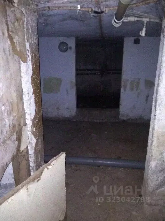 Помещение свободного назначения в Пермский край, Пермь ул. Степана ... - Фото 1