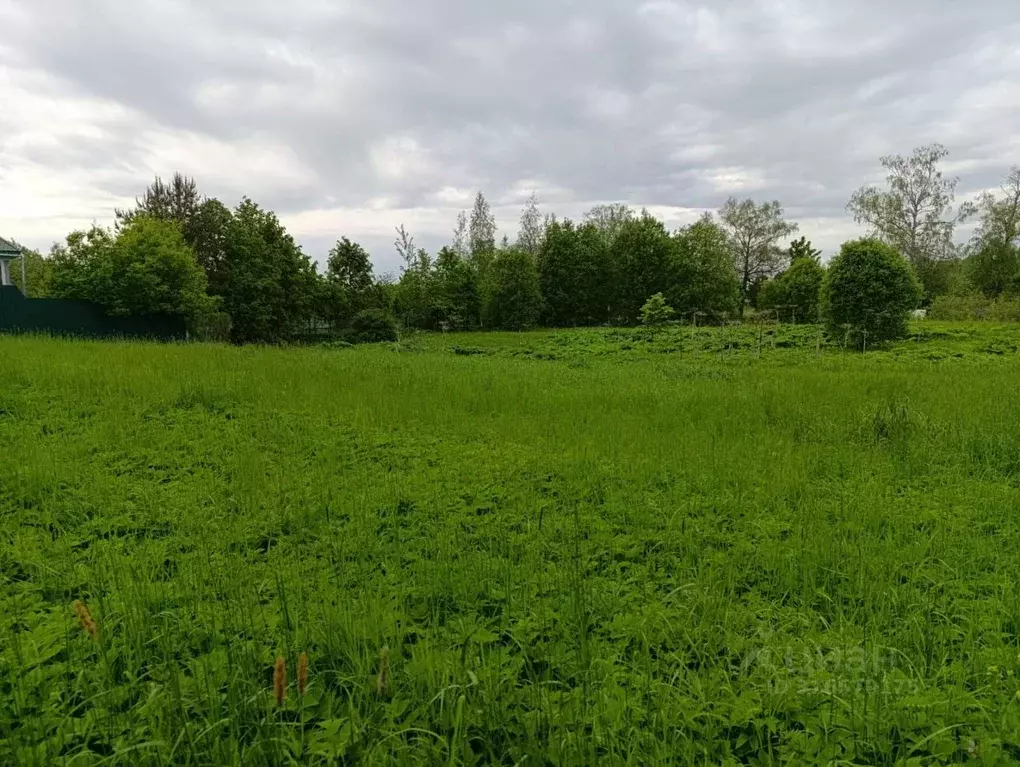 Участок в Ленинградская область, Волосовский район, Калитинское с/пос, ... - Фото 2