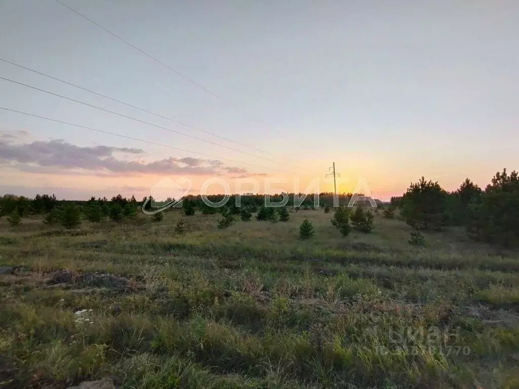 Участок в Свердловская область, Слободо-Туринский район, ... - Фото 0