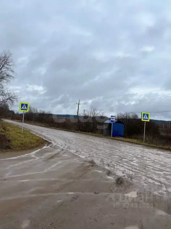 Участок в Пермский край, Пермский муниципальный округ, д. Горшки ул. ... - Фото 1