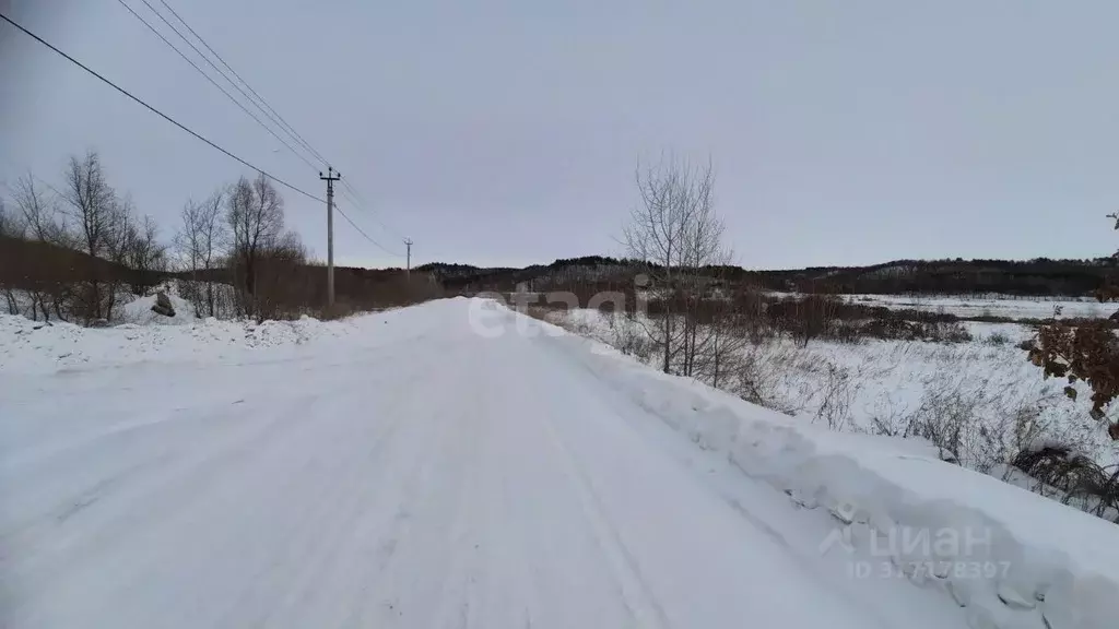 Участок в Амурская область, Благовещенский район, с. Кантон-Коммуна  ... - Фото 1